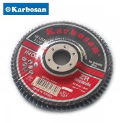 Disque à lamelles 125mm Karbosan pour Inox Zirconium plat GR40