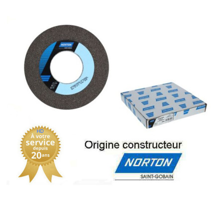 NORTON 66243593707